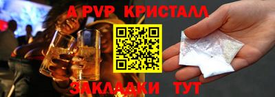 шишки Лесосибирск