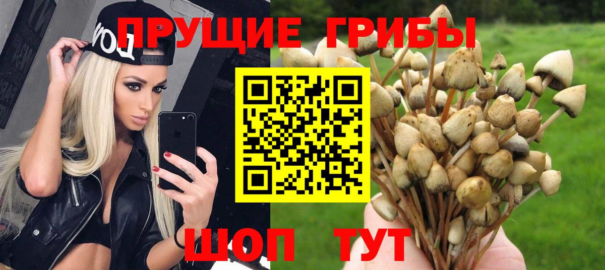 наркота  Вход с VPN  Ишимбай  Псилоцибиновые грибы мицелий 
